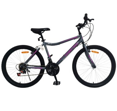 Bicicleta Mtbike Ozark Trail Aro 24 M Shs